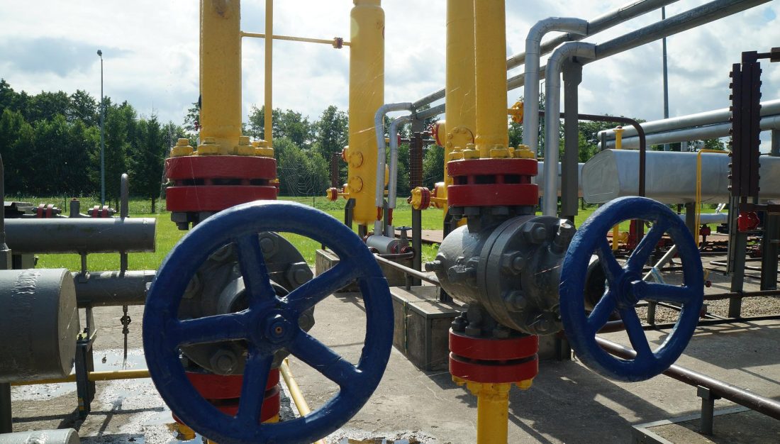 Notfallplan GAS Kühllogistik