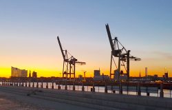 Containerreederei